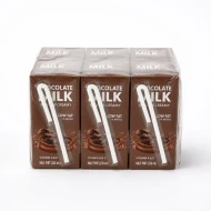 Bayu Fresh Chocolate Milk 6 x 200ml